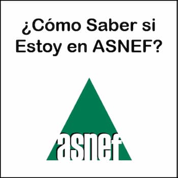cómo saber si estoy en ASNEF