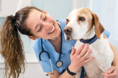 ¿Cuánto ganan los veterinarios?