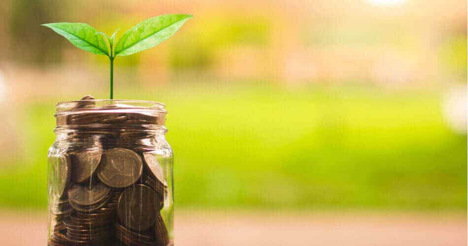 Cuenta del mercado monetario vs. CD: ¿Cuál es mejor para invertir?