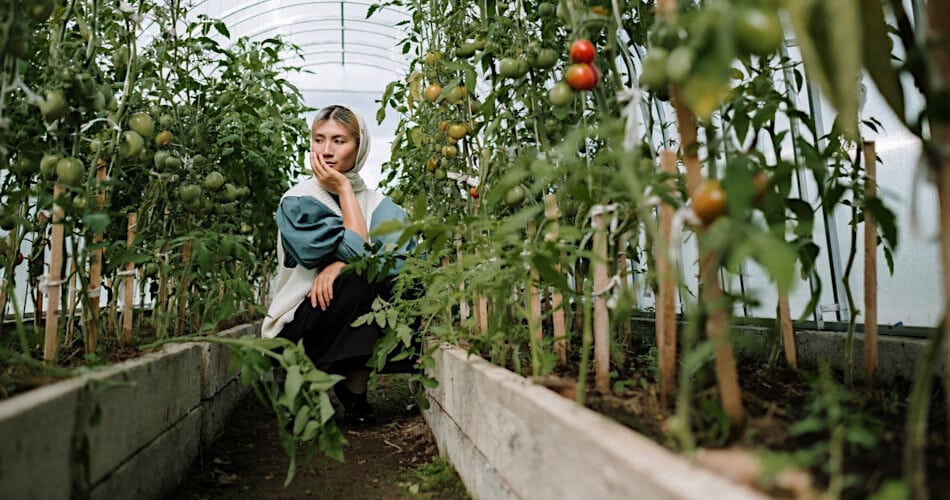 Formulario de impuestos del IRS Anexo F (1040) Ganancias o pérdidas del negocio agrícola