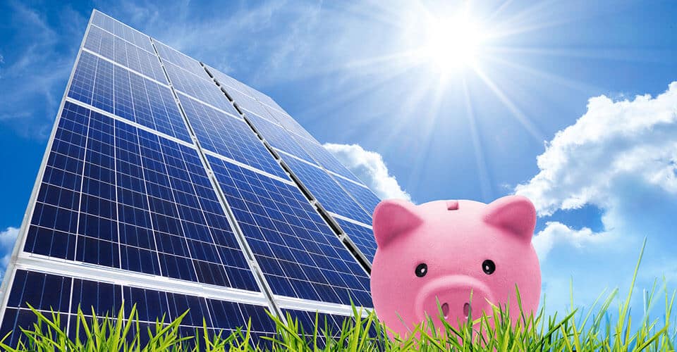 La guía definitiva para ser ecológico