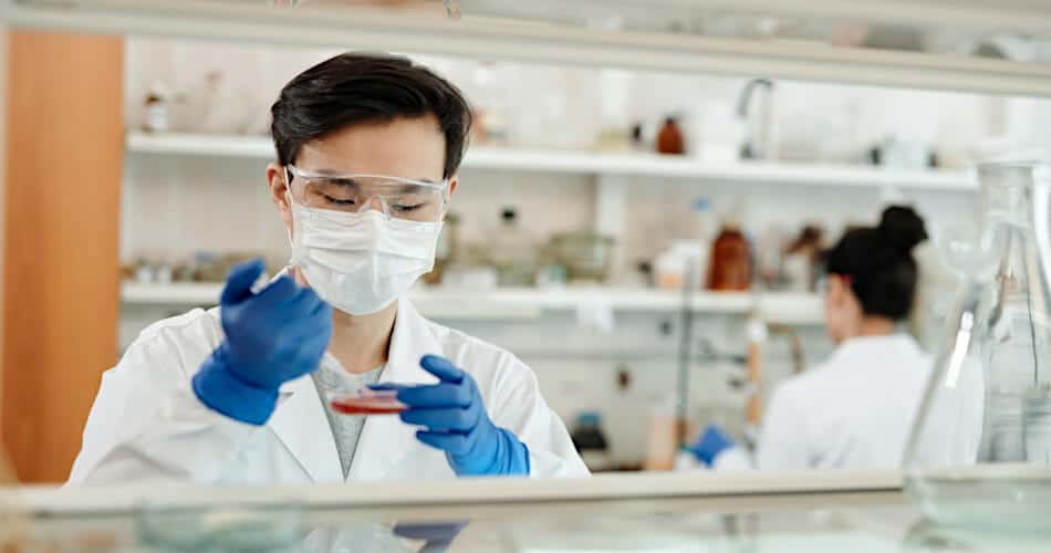¿Cuál es la deuda media de las facultades de farmacia en 2022?